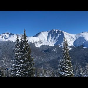 Meet your Posher, Tristan